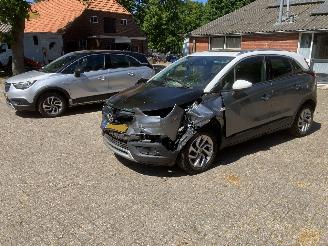 Opel Crossland PANODAK picture 9
