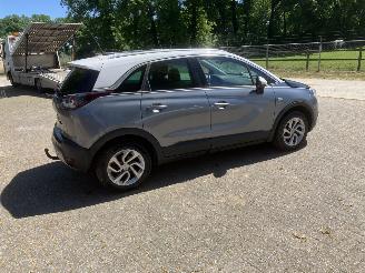 Opel Crossland PANODAK picture 14