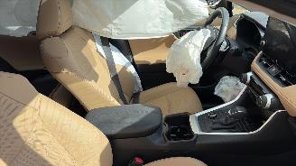 Toyota Rav-4 2.5 hybrtde picture 8