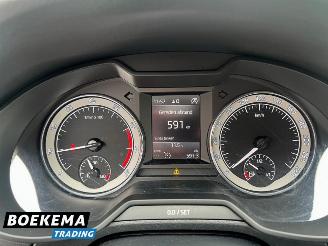 Skoda Octavia 1.0 TSI Business Ed Navigatie Canton Stoelverw. Climate Cruise PDC picture 24