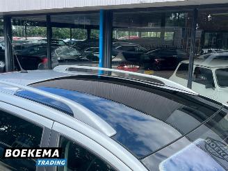 Peugeot 307 2.0 HDi Climate Cruise Glazen dak Trekh. picture 12