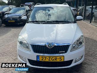 Skoda Fabia Combi 1.2 TDI Navi Climate Cruise PDC Trekh, picture 5