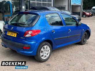 Peugeot 206 1.1 XR Airco 5-Deurs Elek-Ramen picture 2