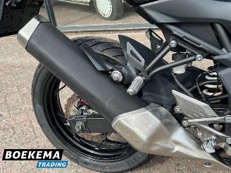 Kawasaki  Ninja 125 picture 13