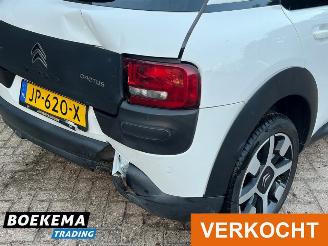 Citroën C4 cactus 1.2 PureTech Shine Virtual Navi Climate Cruise PDC picture 8