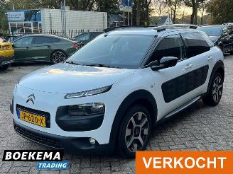 Citroën C4 cactus 1.2 PureTech Shine Virtual Navi Climate Cruise PDC picture 4