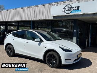 Unfallwagen Tesla Model Y RWD 58 kWh FSD Computer 3 2023/6