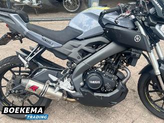 Yamaha  Other MT-125 ABS picture 6