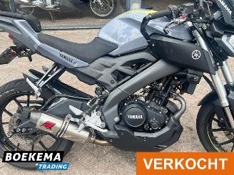 Yamaha  MT-125 ABS picture 6
