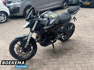 Yamaha  MT-125 ABS picture 5