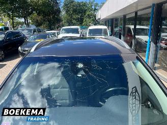 Kia Niro 1.6 GDi Hybrid Dynamic Navi Cruise picture 13