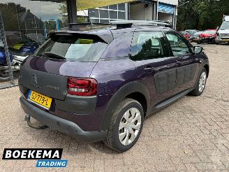 Citroën C4 cactus 1.2 e-VTi Business Automaat Camera Navigatie Cruise picture 2