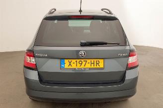 Skoda Fabia 1.2 TSI Automaat First Edition Ambition picture 40