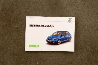 Skoda Fabia 1.2 TSI Automaat First Edition Ambition picture 18