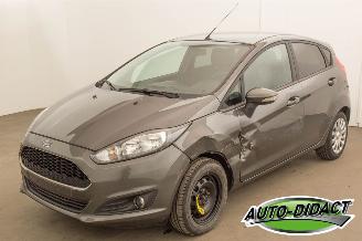  Ford Fiesta 1.0 Benz 59 kw Airco 2016/4