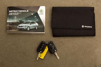 Skoda Octavia Combi 1.0 TSI Automaat Greentech Ambition Business picture 18
