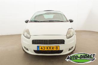 Fiat Grande Punto 1.4 Elek dak NeroBianco picture 37