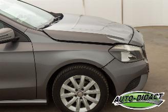 Mercedes A-klasse A180 Clima Navi picture 30