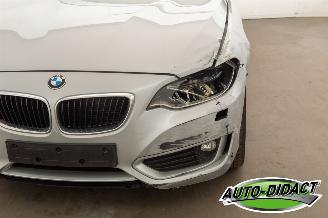 BMW 2-serie 220 cabrio Automaat Navi picture 37