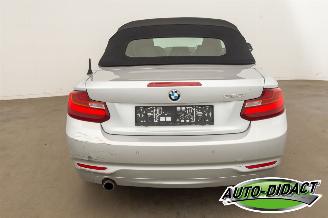 BMW 2-serie 220 cabrio Automaat Navi picture 44
