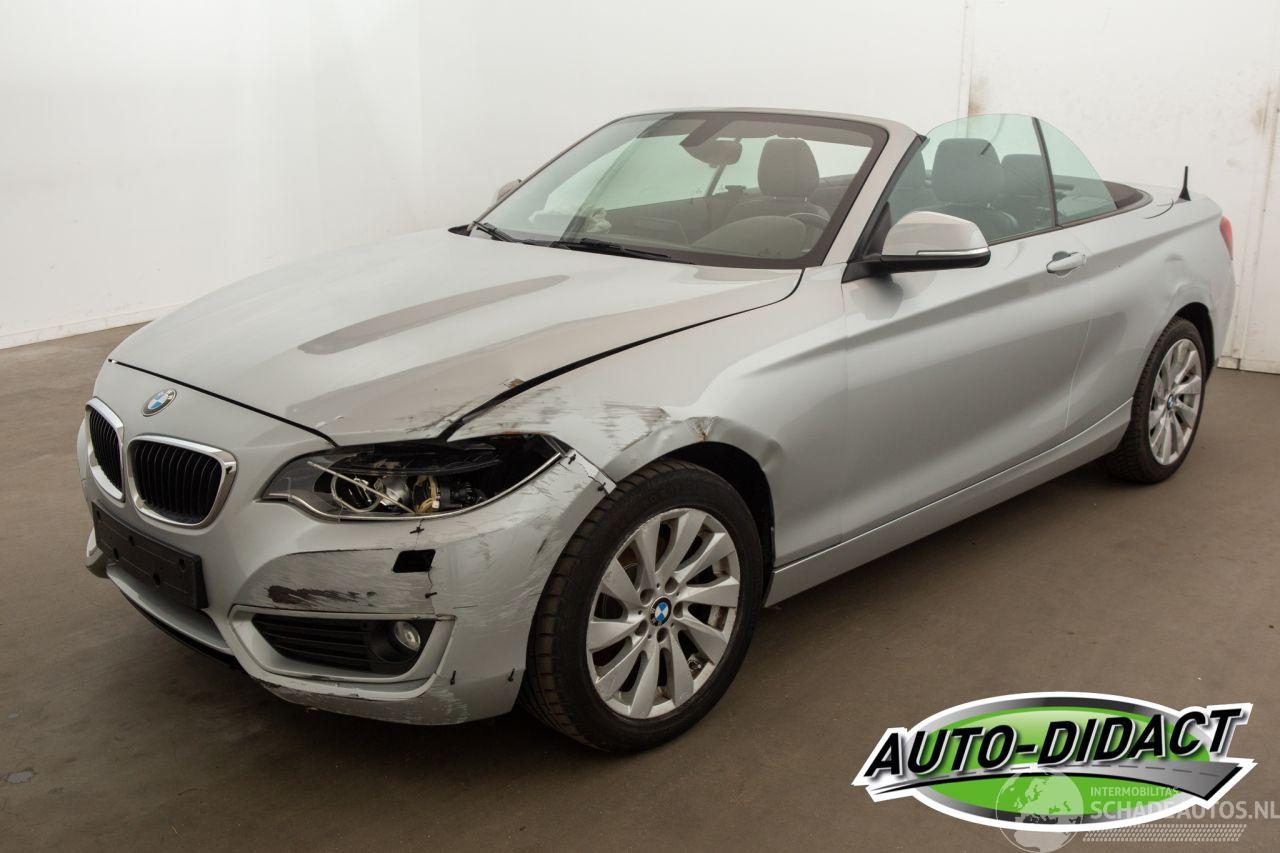 BMW 2-serie 220 cabrio Automaat Navi