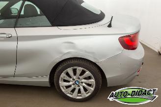 BMW 2-serie 220 cabrio Automaat Navi picture 40