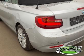 BMW 2-serie 220 cabrio Automaat Navi picture 39