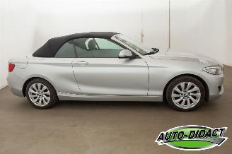 BMW 2-serie 220 cabrio Automaat Navi picture 47
