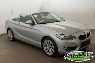 BMW 2-serie 220 cabrio Automaat Navi picture 2