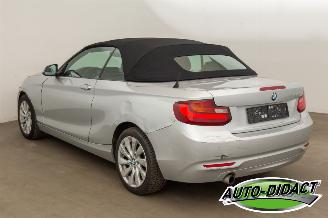 BMW 2-serie 220 cabrio Automaat Navi picture 5