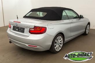 BMW 2-serie 220 cabrio Automaat Navi picture 6