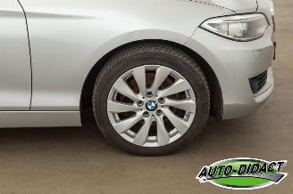 BMW 2-serie 220 cabrio Automaat Navi picture 41