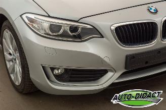 BMW 2-serie 220 cabrio Automaat Navi picture 38