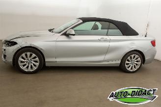 BMW 2-serie 220 cabrio Automaat Navi picture 46