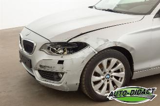 BMW 2-serie 220 cabrio Automaat Navi picture 35