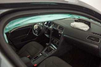 Volkswagen Golf 1.0 TSI 80.136 km Carpas Navi Camera picture 35