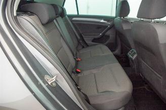 Volkswagen Golf 1.0 TSI 80.136 km Carpas Navi Camera picture 25