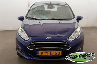 Ford Fiesta 1.0 EcoBoost Clima Navi Titanium picture 35