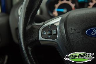 Ford Fiesta 1.0 EcoBoost Clima Navi Titanium picture 14