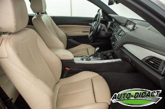 BMW 1-serie 120d Automaat Clima Navi Elek Dak picture 20