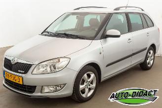  Skoda Fabia 1.2 TDI Clima Greenline 2011/1