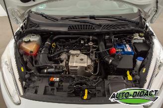 Ford Fiesta 1.0 EcoBoost Automaat Clima Navi Titanium picture 31