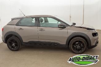Citroën C4 cactus 1.2 PureTech Clima Navi 55.731 km Business picture 38