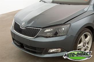 Skoda Fabia 1.0 TSI Clima Navi 120.179 km picture 30