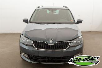 Skoda Fabia 1.0 TSI Clima Navi 120.179 km picture 40