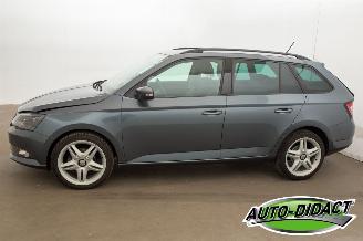 Skoda Fabia 1.0 TSI Clima Navi 120.179 km picture 43