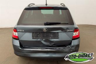 Skoda Fabia 1.0 TSI Clima Navi 120.179 km picture 33