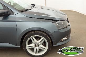 Skoda Fabia 1.0 TSI Clima Navi 120.179 km picture 32