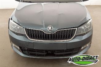 Skoda Fabia 1.0 TSI Clima Navi 120.179 km picture 29