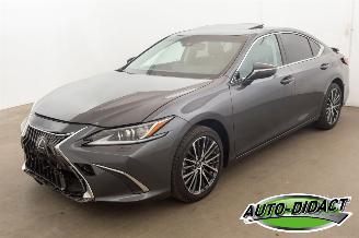 Damaged car Lexus ES 300 Hybrid 33.094 km Carpas Clima Navi Leder Camera 2023/5